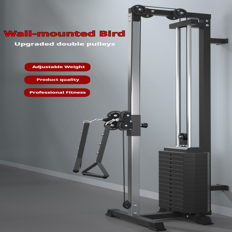 Vertical Leg Press - 균형추가 있는 벽걸이형 플라잉 버드 종합