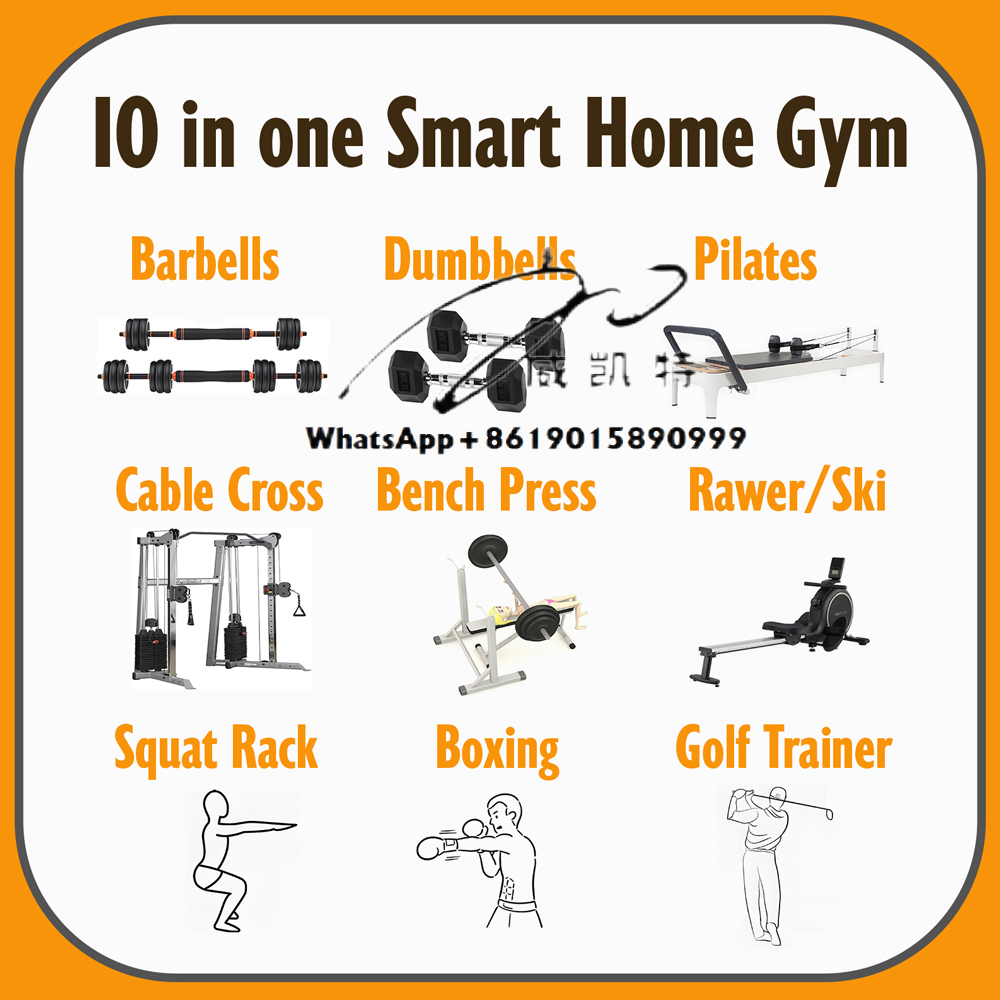 2025 올인원 홈짐 장비 - All In One Gym Home Equipment 리뷰 및 가격