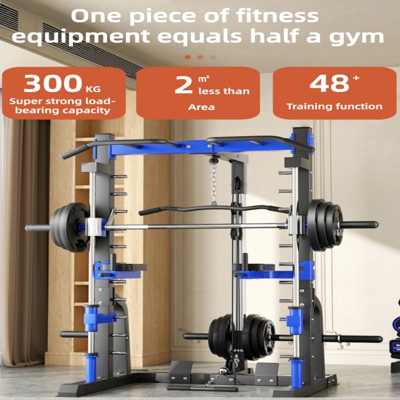 다기능 가정용 종합 트레이닝 장비 간트리 프레임 버드  - Home Gym Weight Machine 리뷰 및 가격