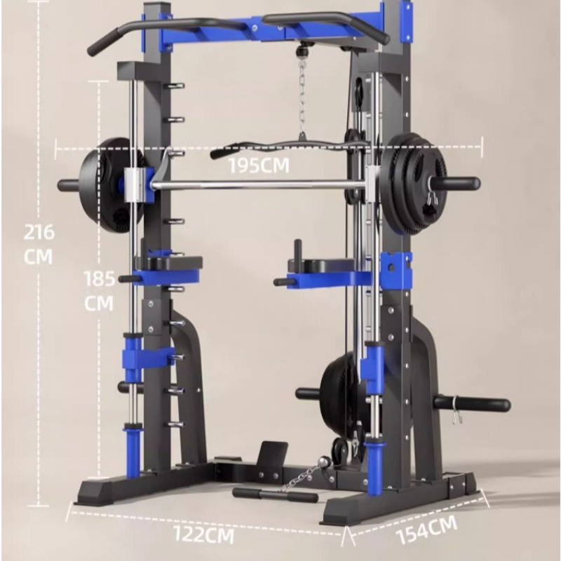 다기능 가정용 종합 트레이닝 장비 간트리 프레임 버드  - Home Gym Weight Machine 리뷰 및 가격